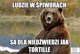 Znalezione obrazy dla zapytania memy śmieszne zwierzęta