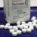  OxyContin maker cuts sales staff, won't hawk drug to docs