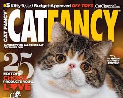 Imagen de la revista Cat Fancy