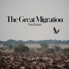 images?q=tbn:ANd9GcQ1Gk6a4NRv6ixr7olKTzN