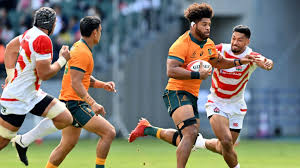 Wallabies prepare to face fast, furious and steamy Japan Test