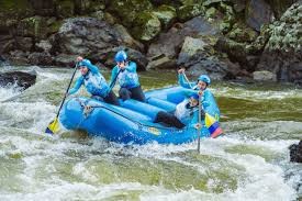 Trend Google: rafting
