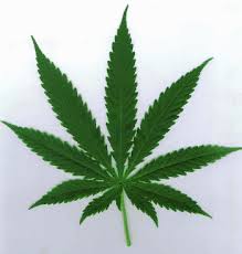 Medicinal Marijuana