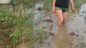 «Вода в домах, вокруг плавают караси». Тюменцы показали потоп в их дворах и на участках— фото, видео