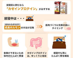 カゼインプロテインの構造の画像