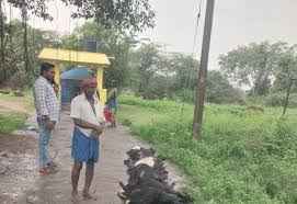 Dinamalar