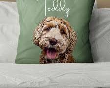 cushion with a pet photo and an illustrationの画像