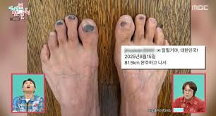 뉴스1 - News update