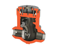 Pressure Seal Swing Check Valve - CRANE Nuclear | Valves ...