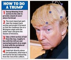 Image result for donald trumps hair