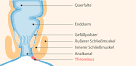 Analthrombose in der schwangerschaft