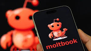 Moltbook, a nova rede social criada apenas para IA (e não para humanos) — e as dúvidas e preocupações que ela tem gerado