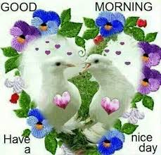 Bildresultat för good morning have a nice day
