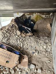 Man who dug hole under Murray Trax line arrested