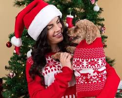 dog and owner in matching Christmas sweatersの画像