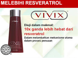  VIVIX