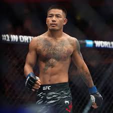 MMA Fighting - News update