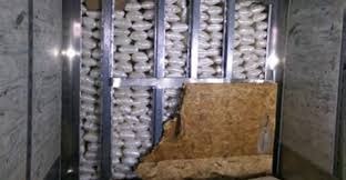 Manifest said cargo at Otay border crossing was cardboard. Feds found $5M in meth