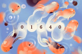 News source: The New York Times