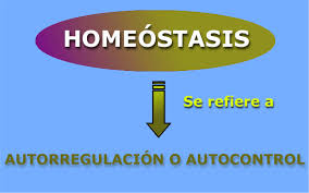 Image result for homeostasis sistemas gestion