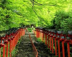 貴船神社 京都の画像