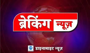 Dynamite News Hindi - News update