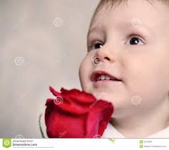 Niño pequeño querúbico adorable con una rosa roja - ni%25C3%25B1o-peque%25C3%25B1o-quer%25C3%25BAbico-adorable-con-una-rosa-roja-36126909