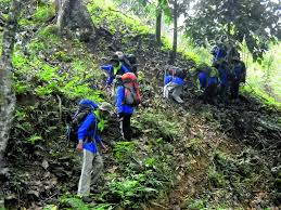 Hasil gambar untuk pecinta alam indonesia