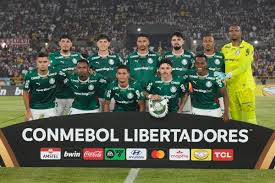 Colombia Brazil Copa Libertadores Soccer