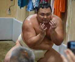 朝乃山、不屈の復活！大相撲秋場所で十両復帰、その軌跡と決意 - Imagen principal del artículo