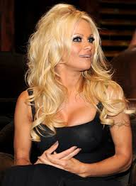 Finest 10 influential quotes by pamela anderson photograph Hindi via Relatably.com