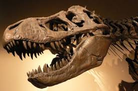 Argentina, sede del Congreso Internacional de Paleontología