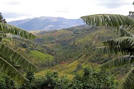 Image result for burundi