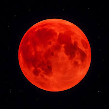 لواندوفسکی: 🖼️ 🌕 ۱۶ شهریور حدود ۹ تا ۱۰ شب با گرفتگی ماه یا خسوف، ماه قرمز قشنگی در آسمان شب خواهیم داشت. 🔴 از شب یکشنبه هفته بعد، یکی از نادرترین و زیباترین خسوف‌ها...