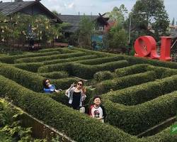 Gambar Labirin Ciwidey Valley Resort