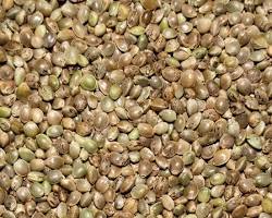 10 Superfoods Seed To Boost Your Energy