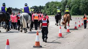 mounted police