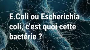 News source: La Voix du Nord