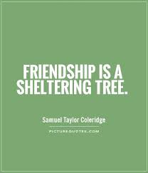 Arbor Day Quotes | Arbor Day Sayings | Arbor Day Picture Quotes via Relatably.com