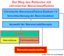 Chronische Niereninsuffizienz, Chronische Nierenerkrankungen