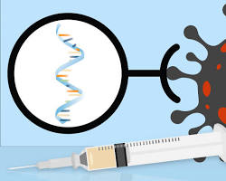 DNA and RNA vaccines invention