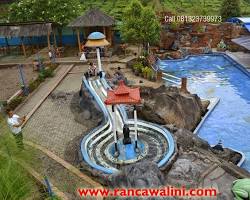 Image of Berenang di Ranca Walini