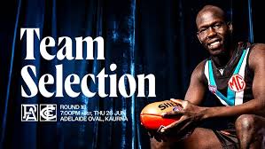 portadelaidefc.com.au - News update