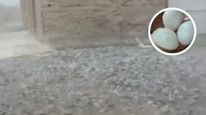 Chuva de granizo surpreende moradores em cidade de SC; veja vídeo