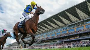 Racing Post - News update