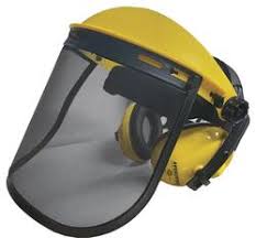 Forester™ Chainsaw Face Shield & Earmuffs - Assorted Colors ...