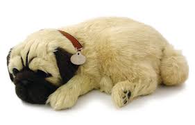 Image result for FOTO BONEKA