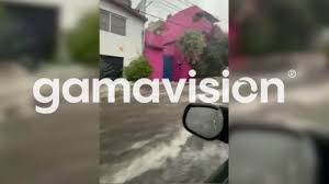 gamavisión