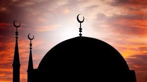 شبكة تواصل الإخبارية - News update