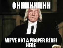 Image result for i'm a rebel meme